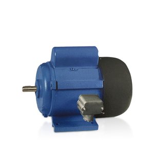 Single Phasw Induction Electric Motor Jy